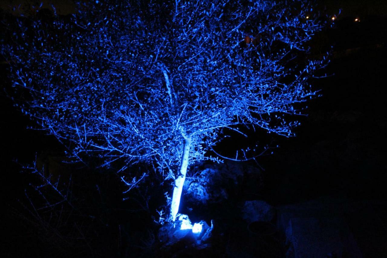 Castell Des Paradis Portopetro 外观 照片