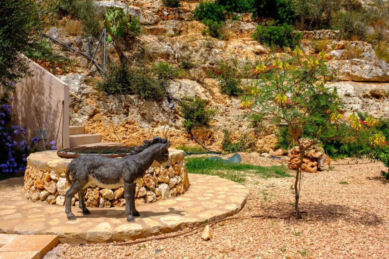Castell Des Paradis Portopetro 外观 照片